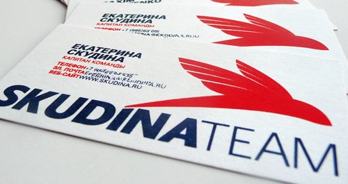 Логотип и фирменный стиль от Graphic Productions для SkudinaTeam