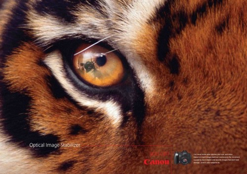 ����� �� GREY WORLDWIDE ��� Canon