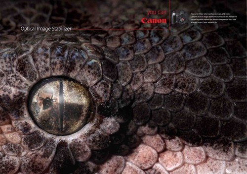 ����� �� GREY WORLDWIDE ��� Canon