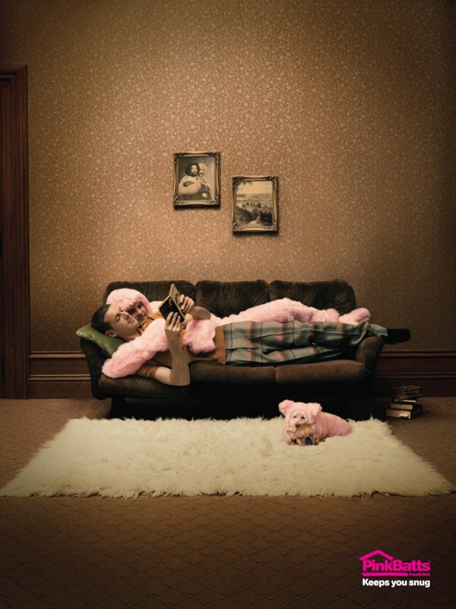  Pink Batts Insulation