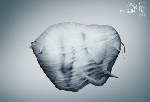   Sony micro vault tiny  Promoseven, Dubai, UAE