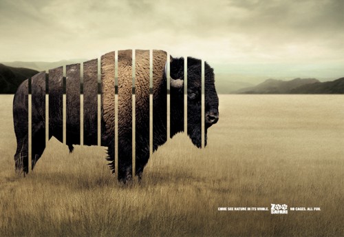 Принт от DDB Brasil для Zoo Safari