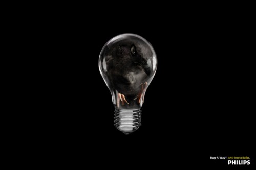 Принт от DDB для Philips