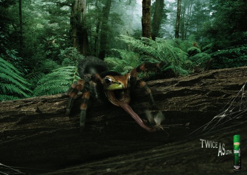 Принт от Callegari Berville Grey для Shock FX