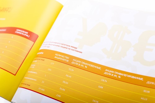 Годовой отчет Волга Телеком от DMCW