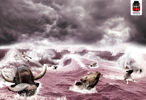 Реклама протеиновых коктейлей от Optimal Nutrition