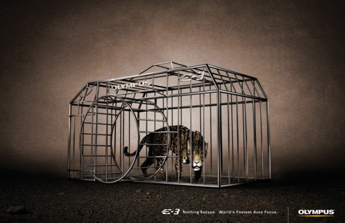 Olympus E3  Turn Creative