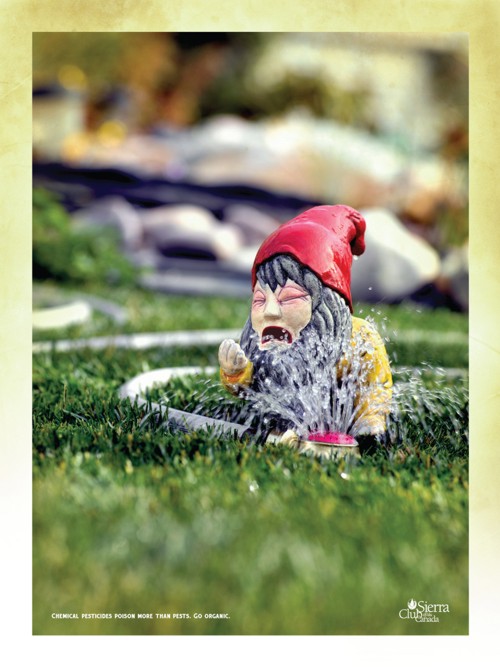 Sierra Club of Canada