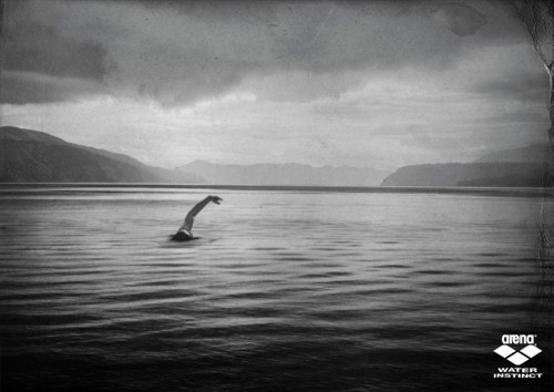 Принт для Arena