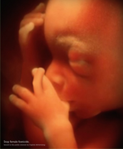 ���������� ������� �� Capital advertising