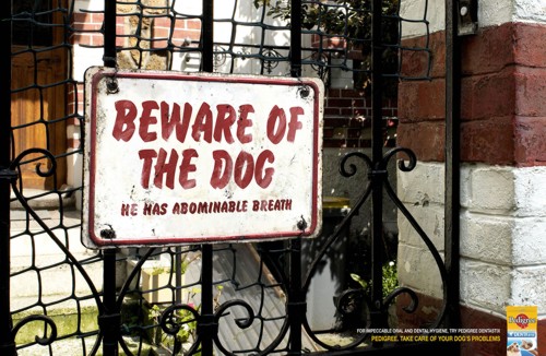 Реклама Pedigree