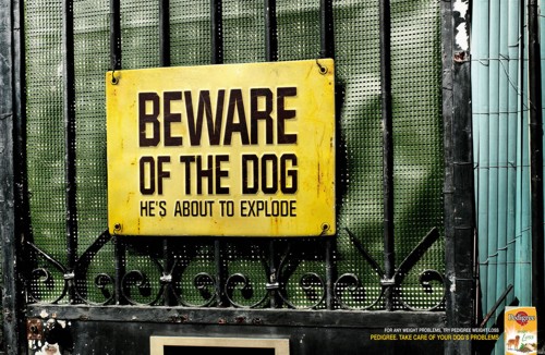 Реклама Pedigree