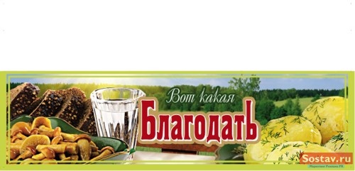 Принт для Союз-Виктан от Аврора