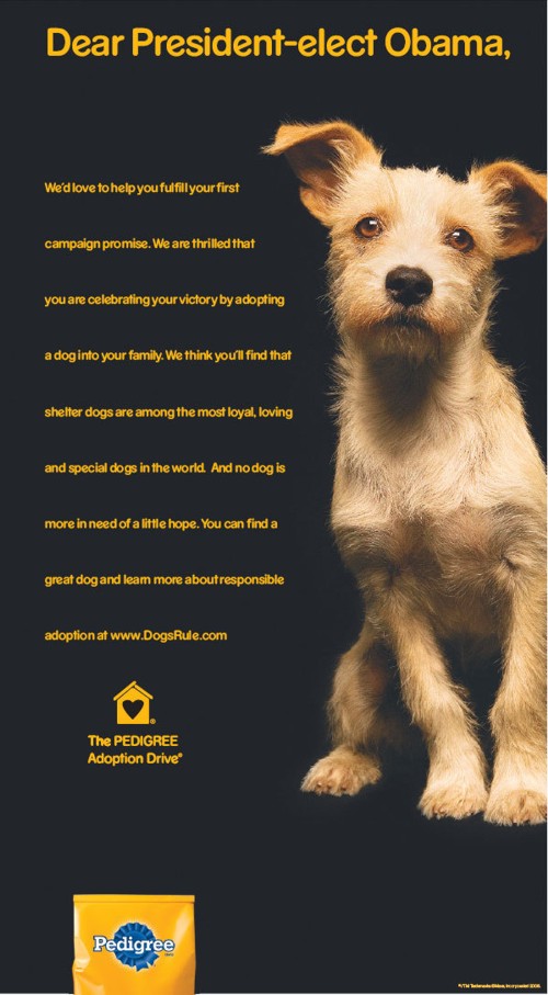 Pedigree от Weber Shandwick Chicago & TBWA\Chiat\Day