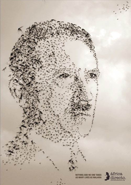    Sra. Rushmore  Africa Directo