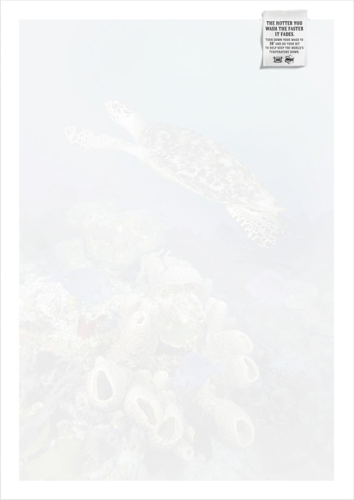 Ariel  Saatchi & Saatchi