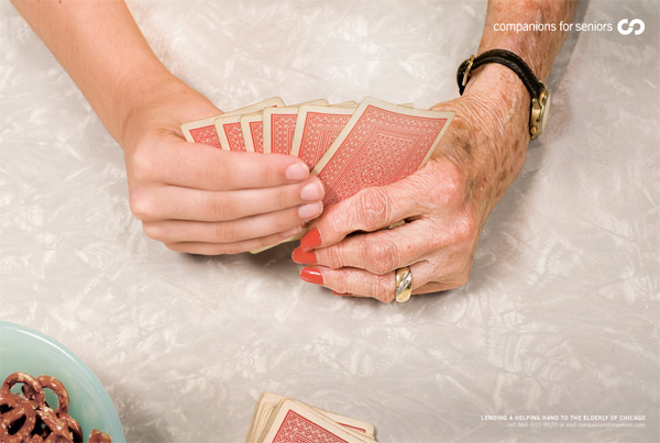  Companions for Seniors