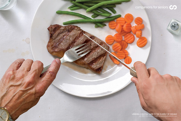  Companions for Seniors