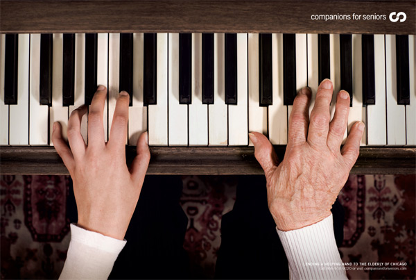  Companions for Seniors