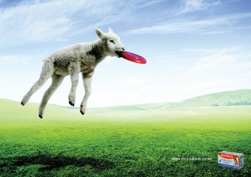 Принт для Bob Martin от DraftFCB