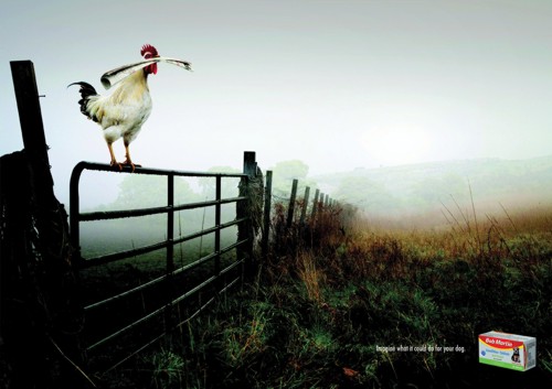 Принт для Bob Martin от DraftFCB