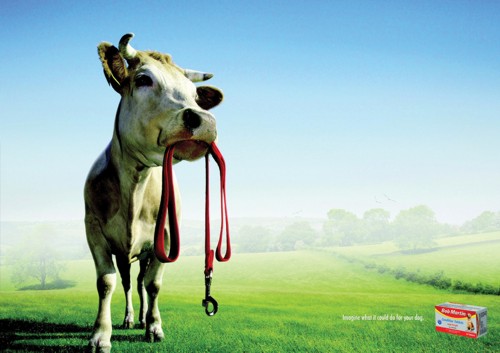 Принт для Bob Martin от DraftFCB