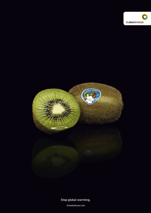 Реклама Climate Focus