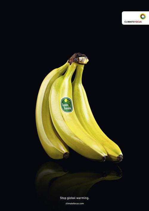 Реклама Climate Focus