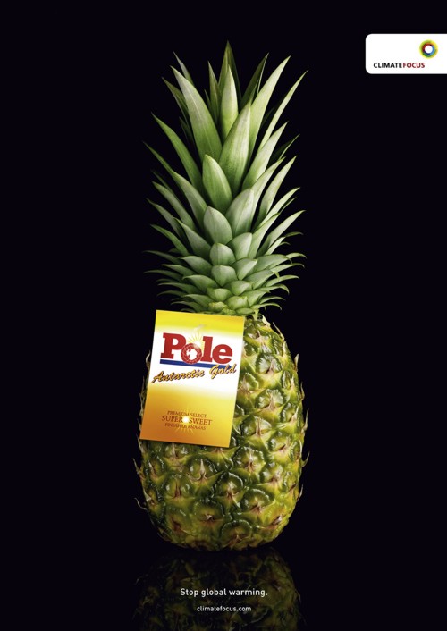 Реклама Climate Focus