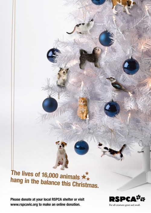   RSPCA  M&C Saatchi