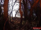 McCann Erickson      Stimorol Ice