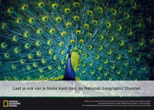 National Geographic  Euro RSCG Amsterdam