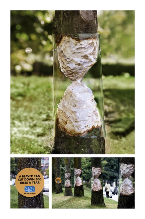 Социальная реклама от Science World