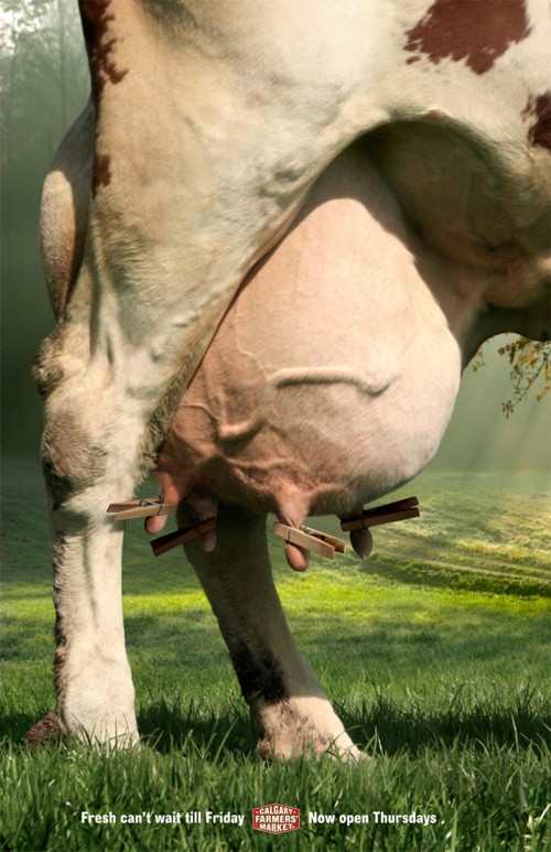 Принт для The Calgary Farmers Market