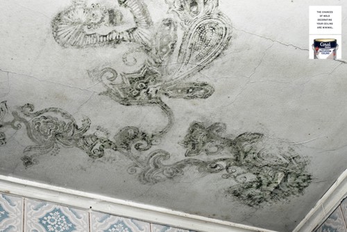   Coral  Leo Burnett Brasil