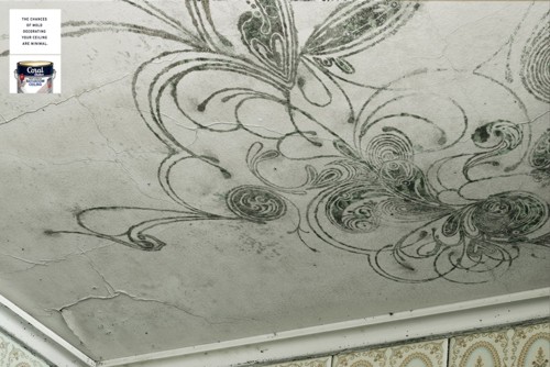   Coral  Leo Burnett Brasil