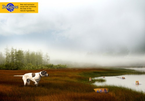 ����� ��� Pedigree