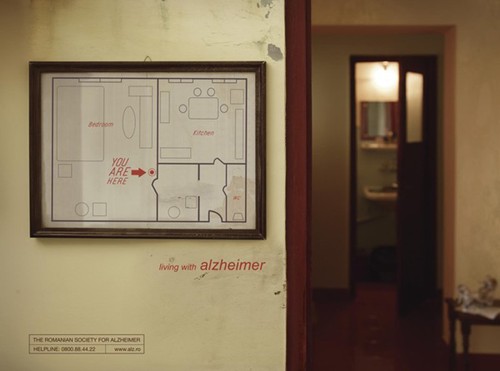 The Romanian Society for Alzheimer:   