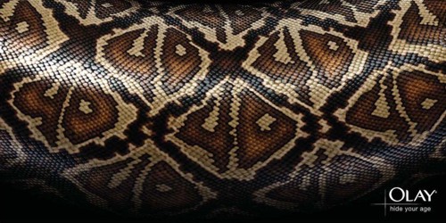   Saatchi & Saatchi  Olay