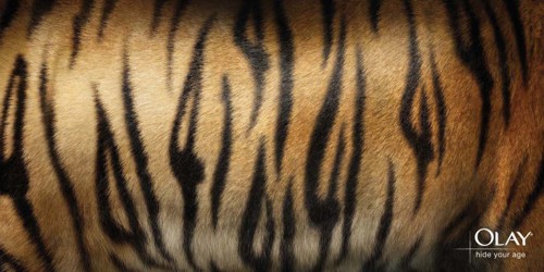   Saatchi & Saatchi  Olay