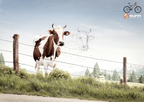 Принт от La chose для Sunn