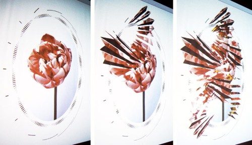 Работа дизайнера Кеетры Дин Диксон