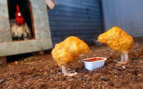 Village Pet Store And Charcoal Grill  