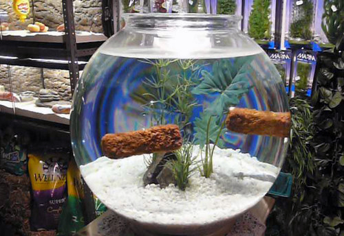 Village Pet Store And Charcoal Grill  