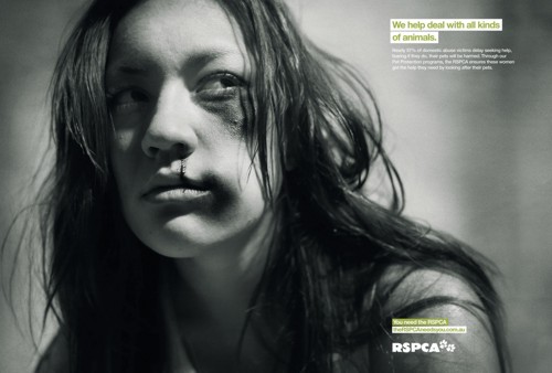   The Campaign Palace Sydney  RSPCA