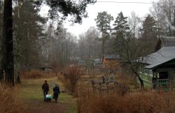 ����������