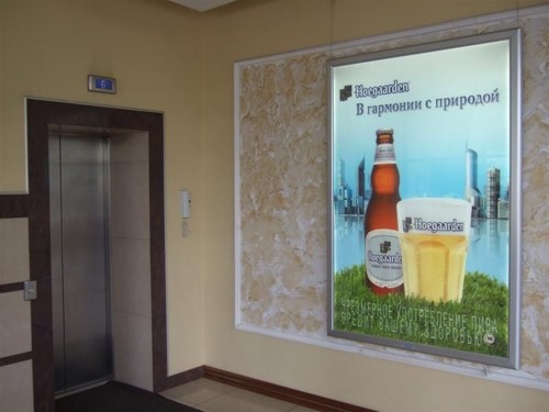   Hoegaarden  Advance Group