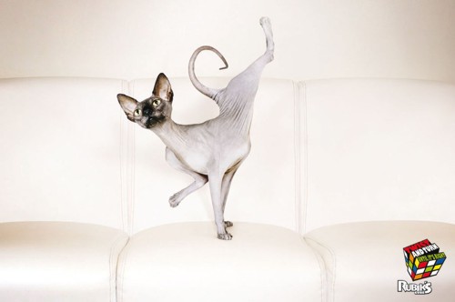      Matt Eastwood  DDB Australia