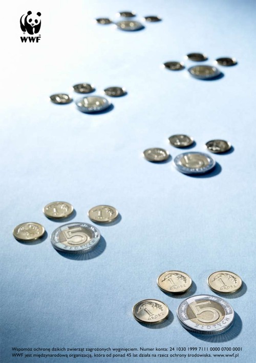 Принт для WWF