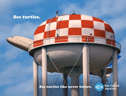     (New England Aquarium)